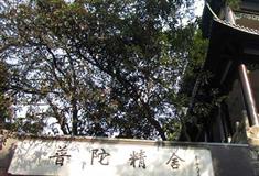 桂林七星公园普陀精舍有什么好看的