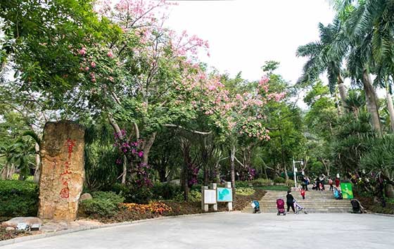 深圳笔架山公园12350