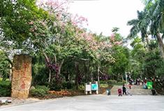 深圳笔架山公园有什么好看的