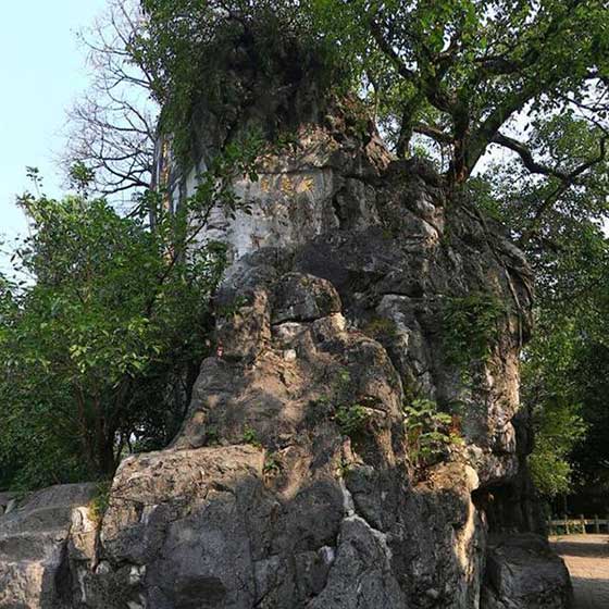 桂林七星公园12482