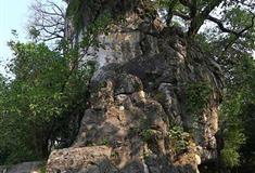 桂林七星公园芙蓉石有什么好看的