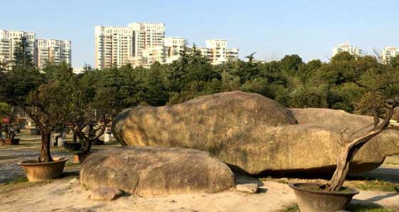 上海世纪公园12015