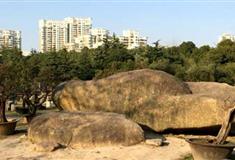 上海世纪公园四季园有什么好看的