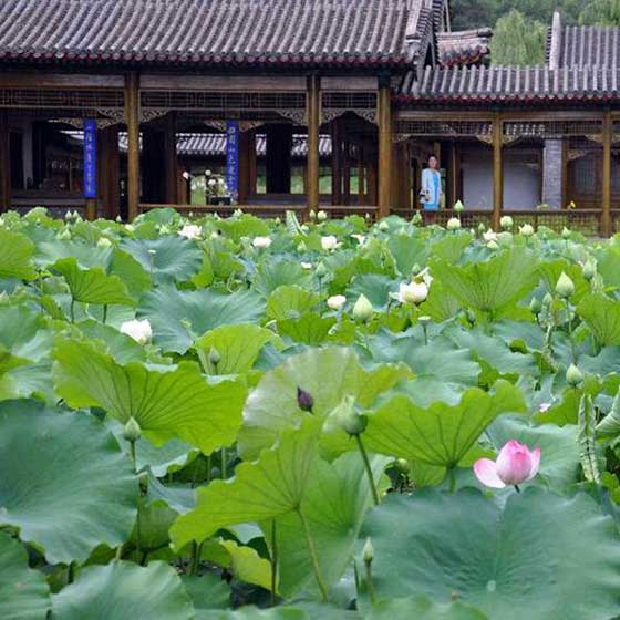 避暑山庄远近泉声