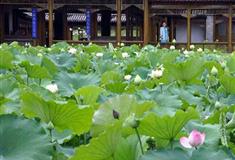 避暑山庄远近泉声有什么好看的