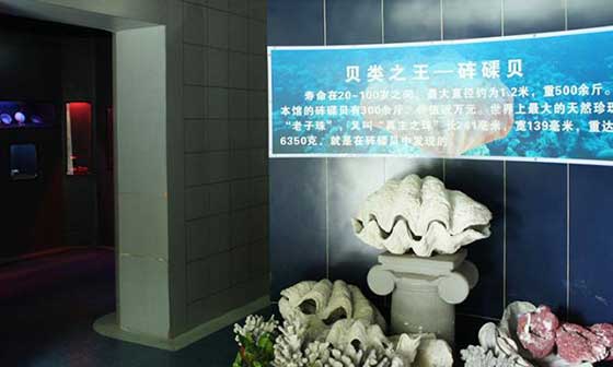 小梅沙海洋世界12371