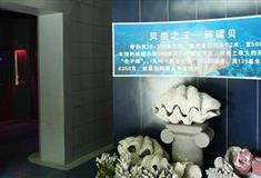 小梅沙海洋世界海贝馆有什么好看的