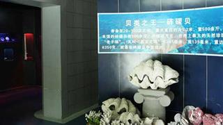 小梅沙海洋世界海贝馆有什么好看的