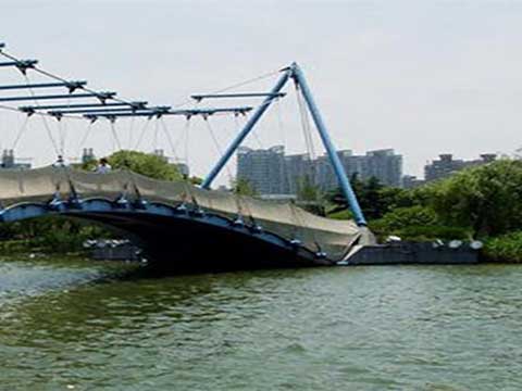 上海世纪公园12025