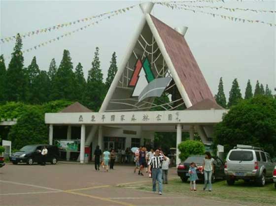 东平国家森林公园12292