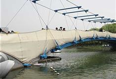 上海世纪公园云帆桥有什么好看的