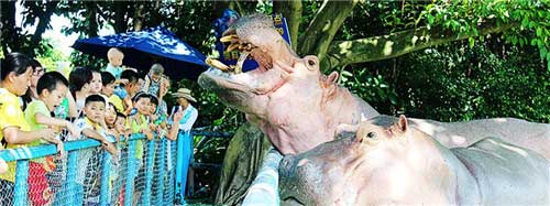 长隆飞鸟乐园12387