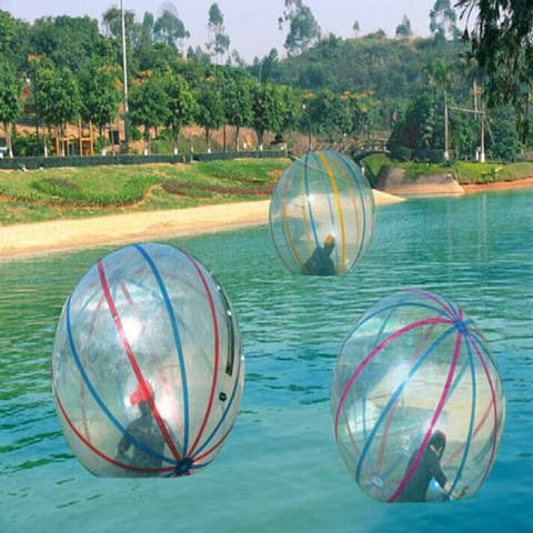 小梅沙海洋世界12380