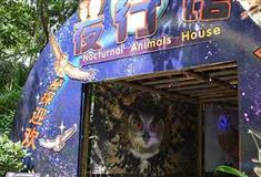 长隆飞鸟乐园夜行馆好玩吗？