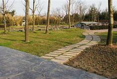 瘦西湖唐罗成广场有什么好看的