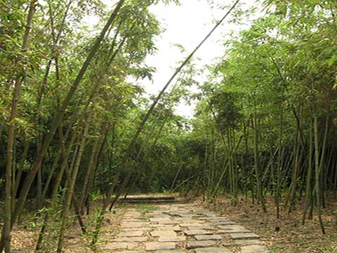 上海世纪公园12030