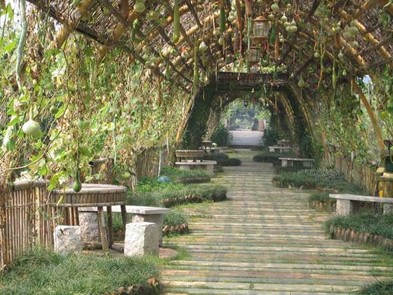 长隆飞鸟乐园12402