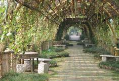 长隆飞鸟乐园瓜果长廊有什么好看的