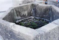 瘦西湖宋井有什么好看的