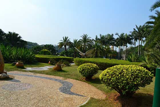 深圳海上田园12523