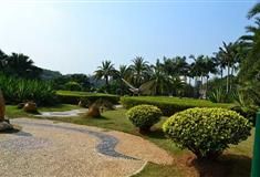 深圳海上田园蝴蝶效应