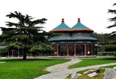 天坛公园百花园