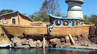 大连老虎滩海洋公园海兽馆有什么好看的