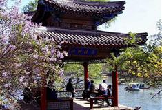 避暑山庄芳渚临流有什么好看的