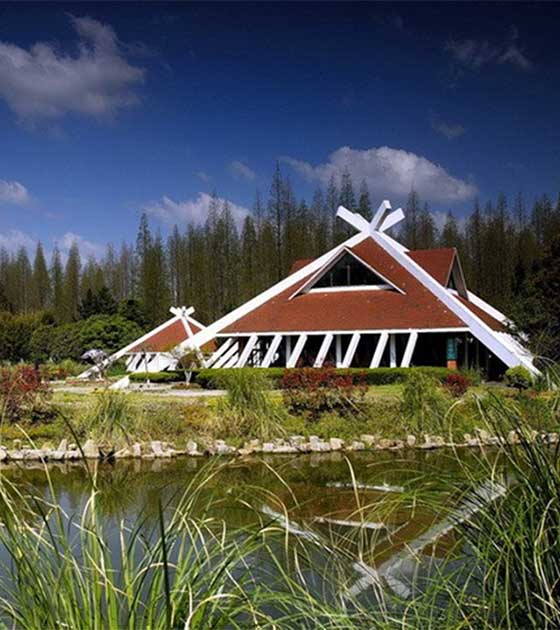 东平国家森林公园12295