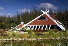 东平国家森林公园森林蟹房有什么好看的