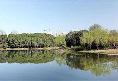 上海世纪公园鸟岛有什么好看的