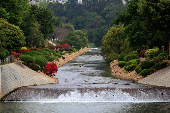 深圳笔架山公园12353