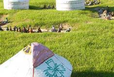 中国民俗文化村蒙古包有什么好看的