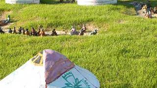 中国民俗文化村蒙古包有什么好看的