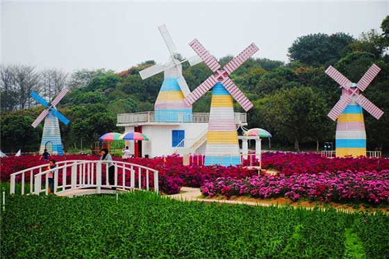 梦幻百花洲12338