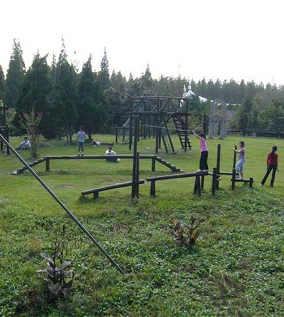 东平国家森林公园12303