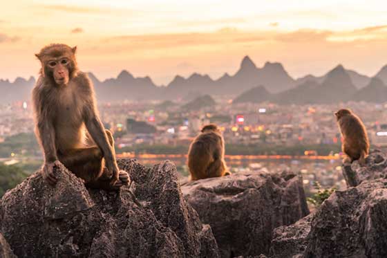 桂林七星公园12465