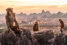 桂林七星景区动物主题乐园有什么好看的