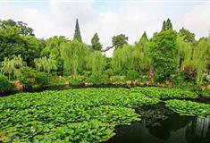 瘦西湖徐园有什么好看的