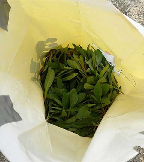 东平国家森林公园12296