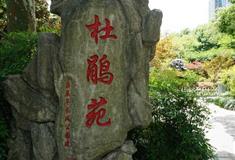 桂林七星公园杜鹃苑有什么好看的