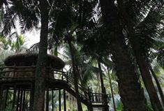 中国民俗文化村高山寨有什么好看的