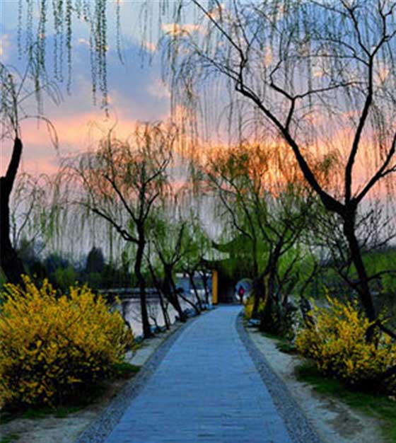 瘦西湖春草池塘吟榭