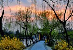 瘦西湖春草池塘吟榭有什么好看的