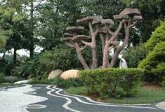 深圳海上田园趣味植物园