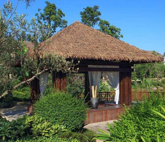 梦幻百花洲12335