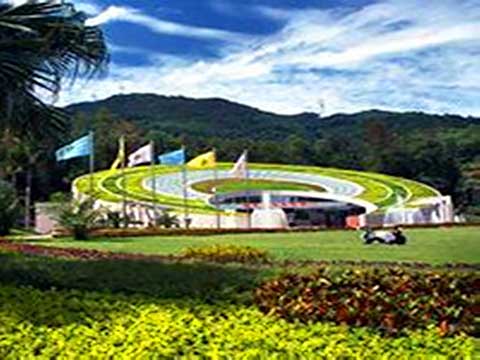 福州国家森林公园11886