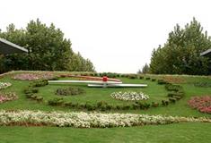 上海世纪公园世纪花钟有什么好看的