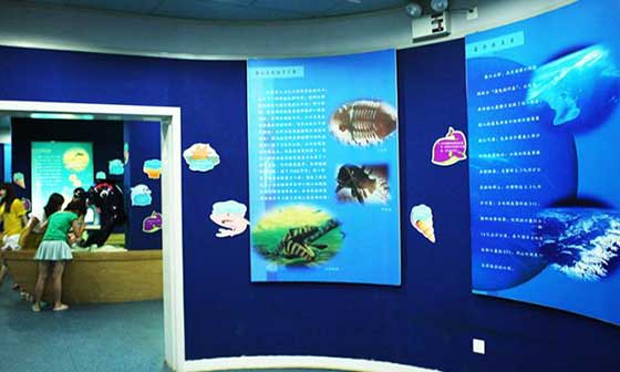 小梅沙海洋世界12373