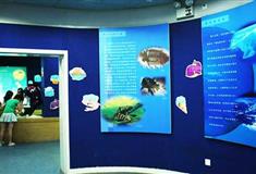 小梅沙海洋世界海洋科普馆有什么好看的